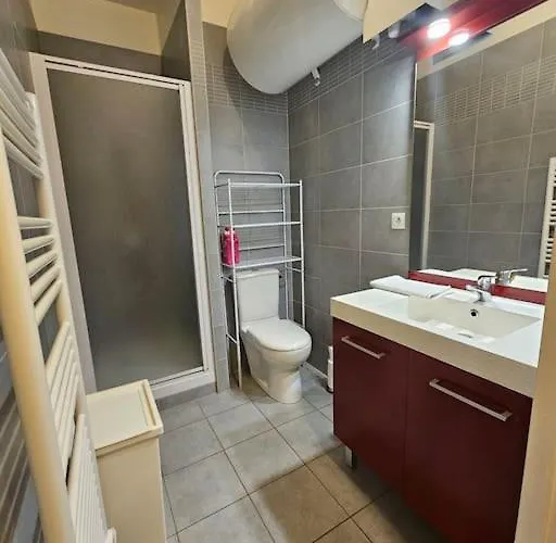 Le Rodade #quartier Historique#calme דירה קלרמונט-פרנד