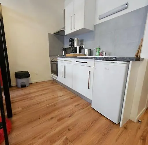 דירה Le Rodade #quartier Historique#calme קלרמונט-פרנד